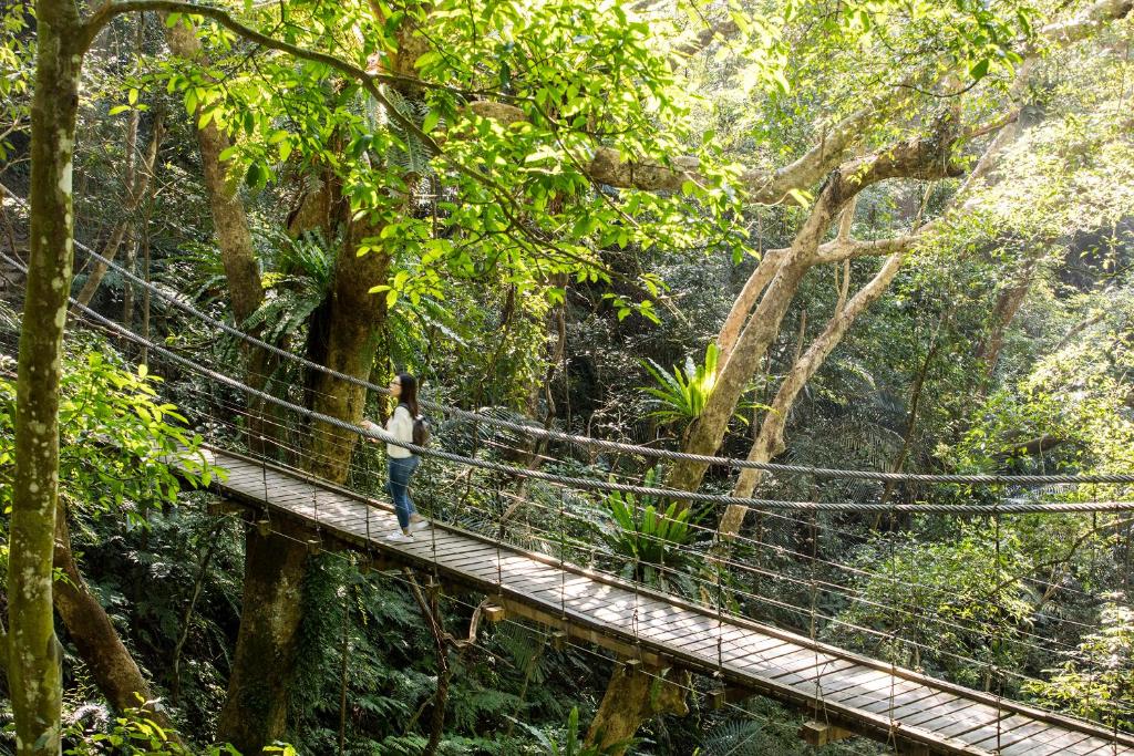 a woman walking across a suspension bridge in the forest at Great Roots Forestry Spa Resort in Sanxia