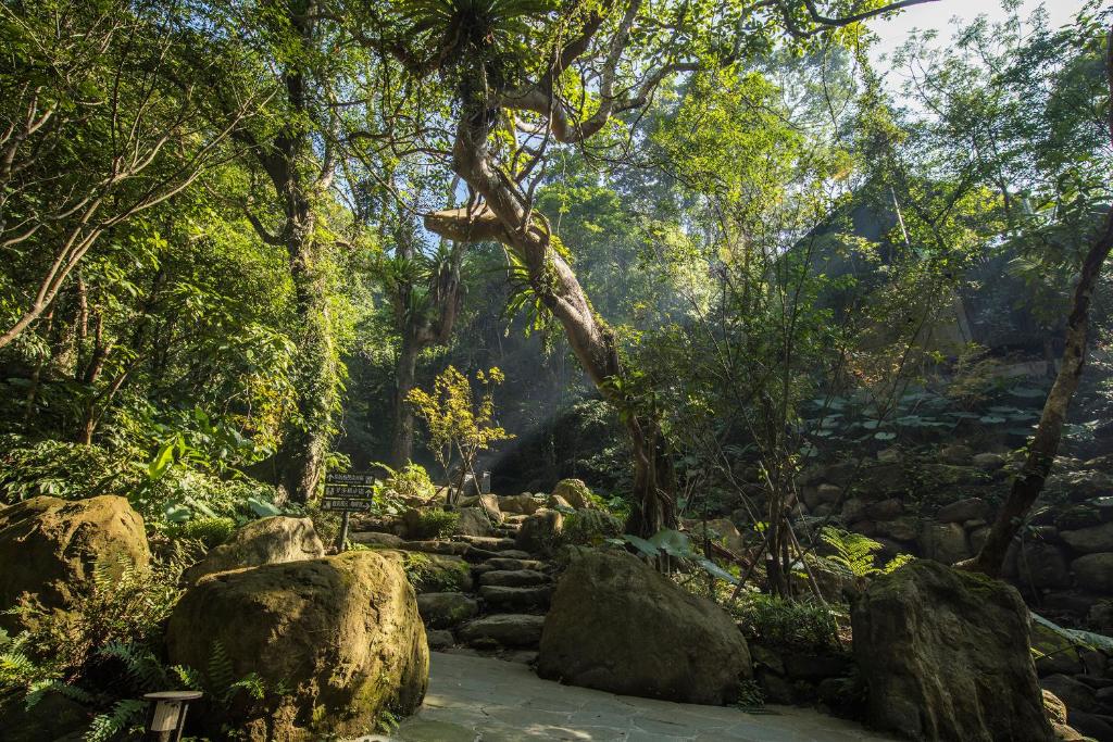 Great Roots Forestry Spa Resort Sanxia Updated 22 Prices