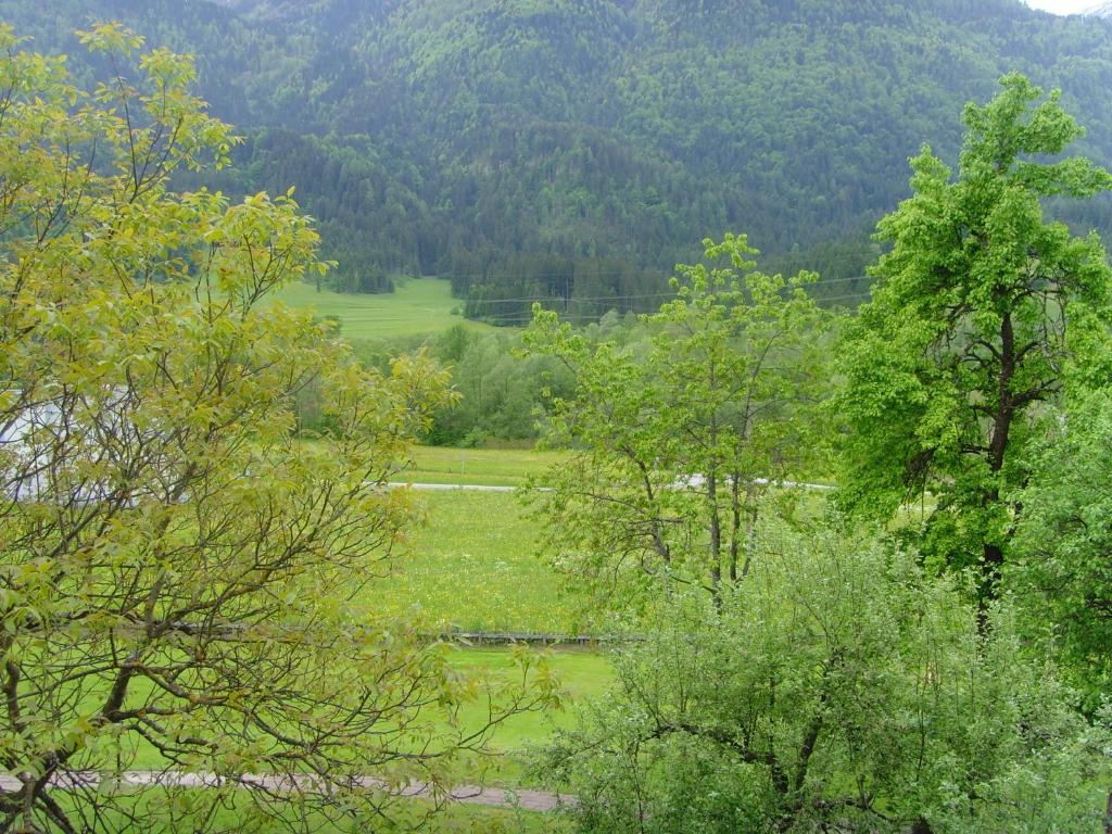 Příroda nedaleko apartmánu