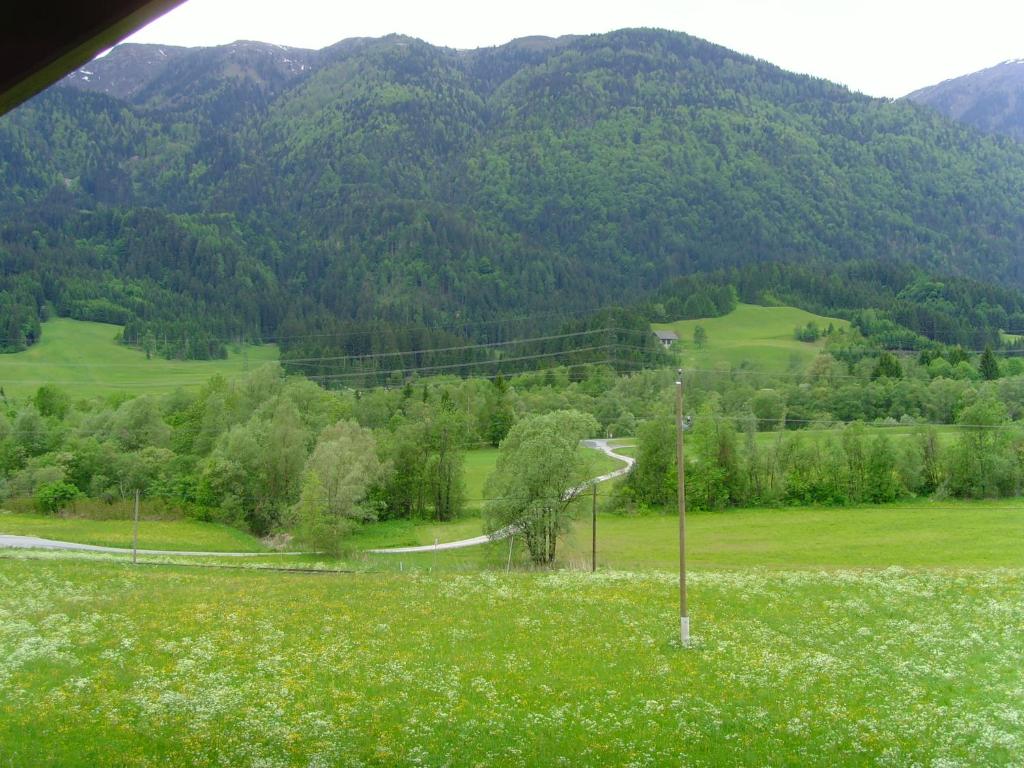 Příroda nedaleko apartmánu