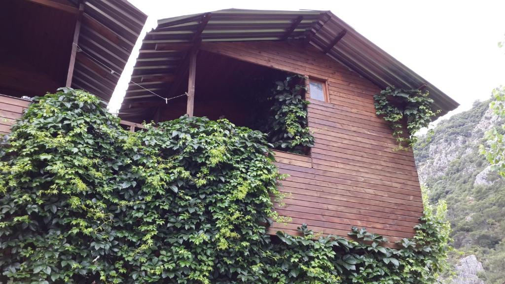 a building covered in ivy with a window at Olympos Camlık Pension in Olympos
