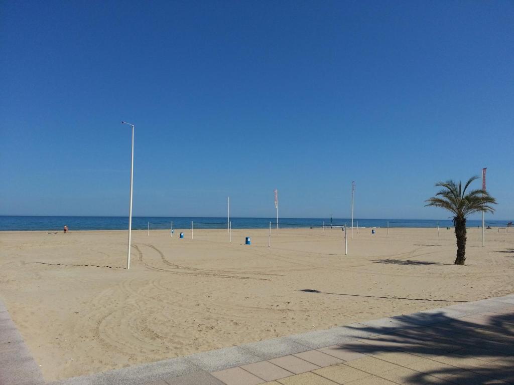 a sandy beach with a palm tree and the ocean at Hotel Albatros in Gandía