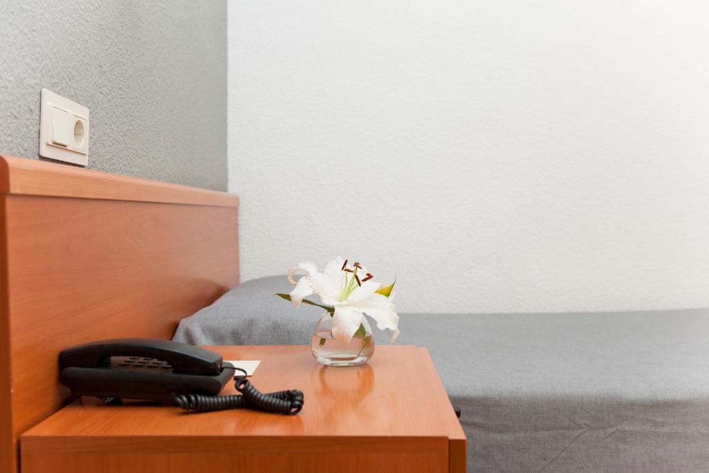 Hotel El Palmeral - Single Room