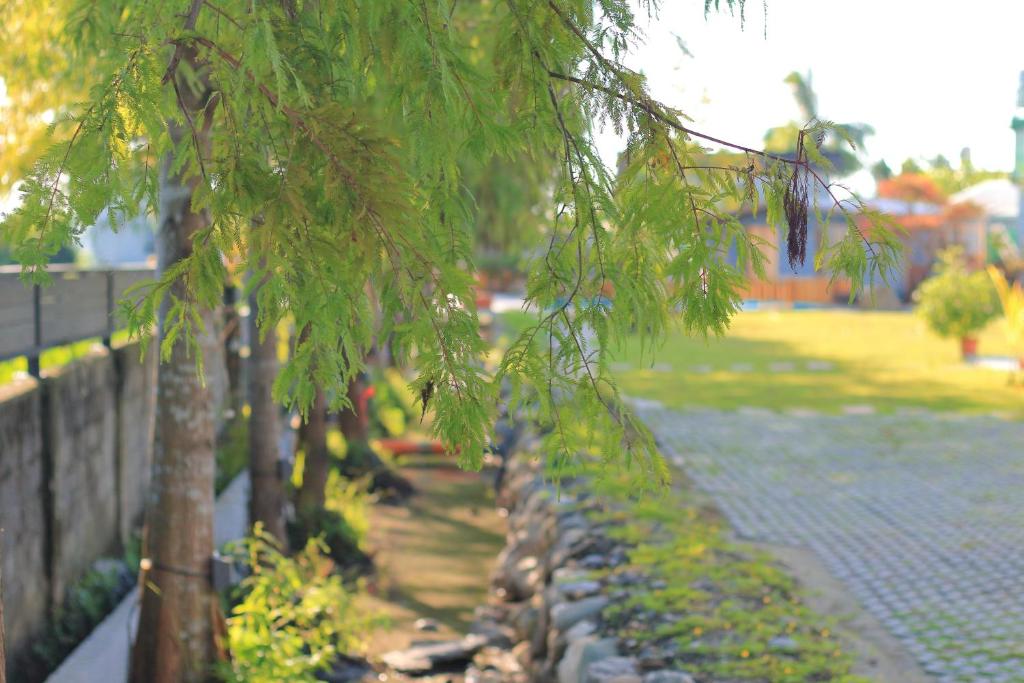 Zahrada ubytování Jiang's B&B 江院子庭園民宿