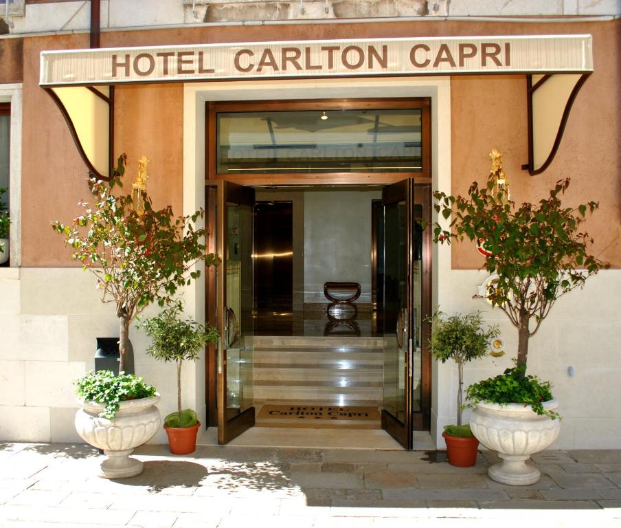 une entrée à un pavillon carillon de l'hôtel avec deux plantes en pot dans l'établissement Hotel Carlton Capri, à Venise