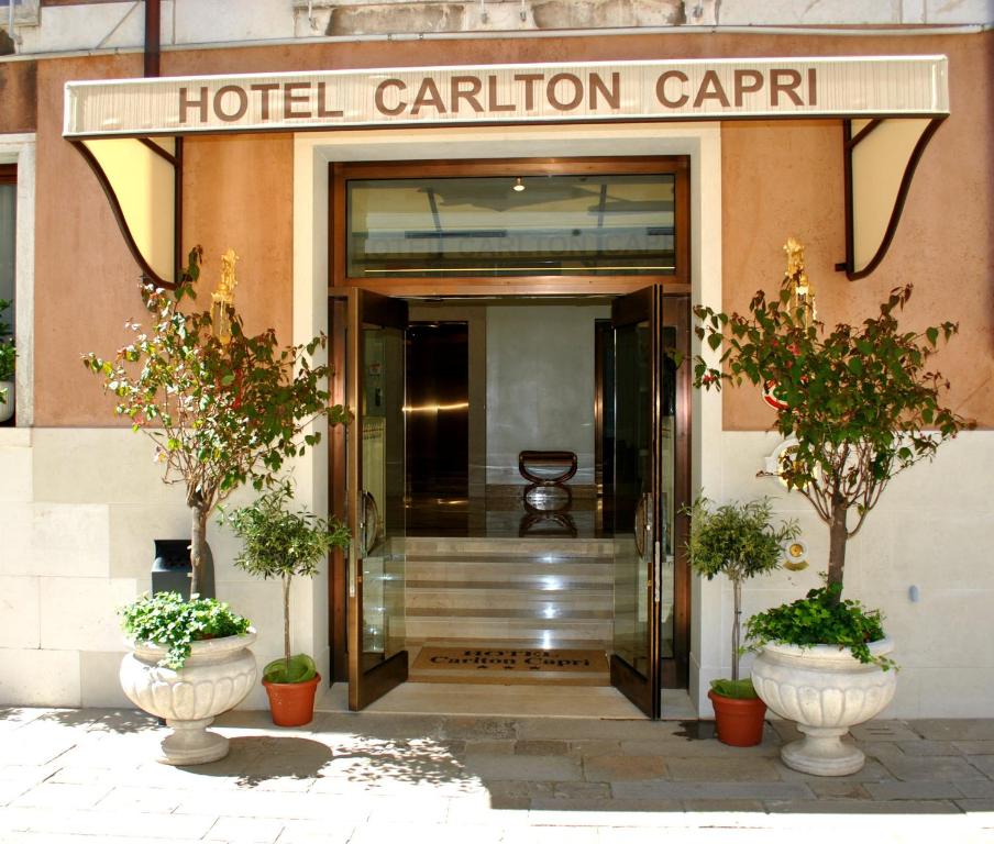ヴェネツィアにあるホテル カールトンカプリの鉢植えの植物が2本植えられたホテルのカリヨンパビリオンへの入場