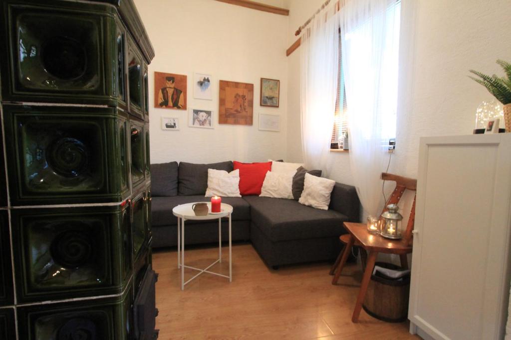 House in center of Gospic with big garden - 3