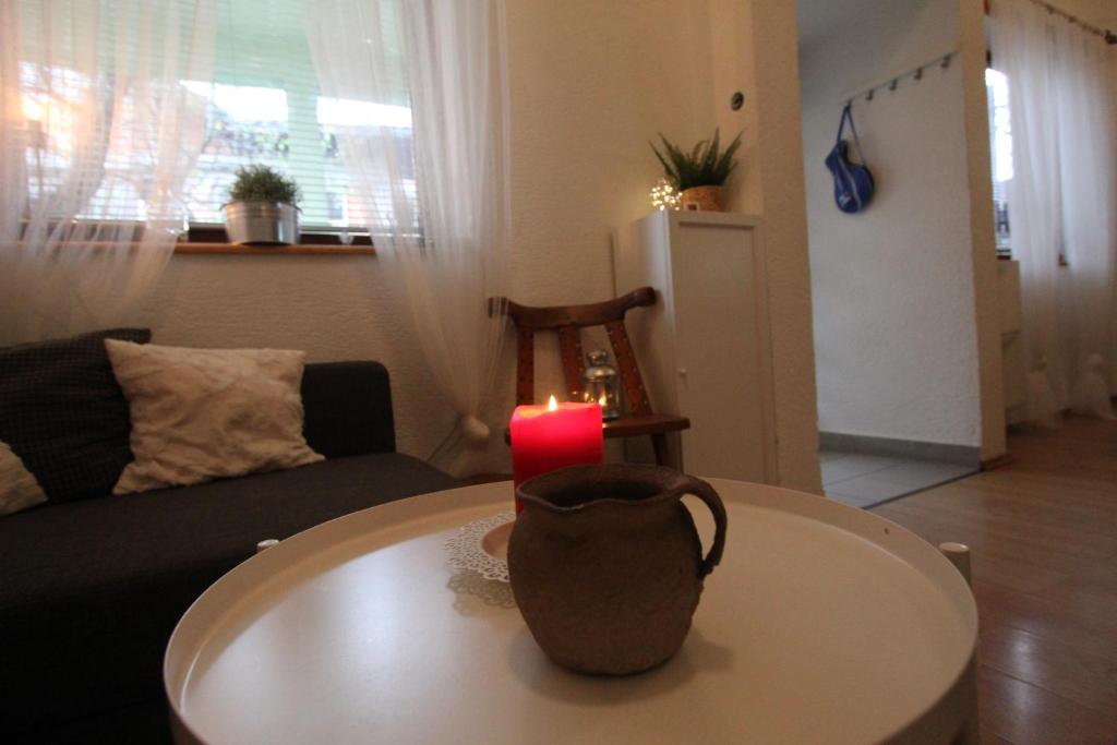 House in center of Gospic with big garden - 15