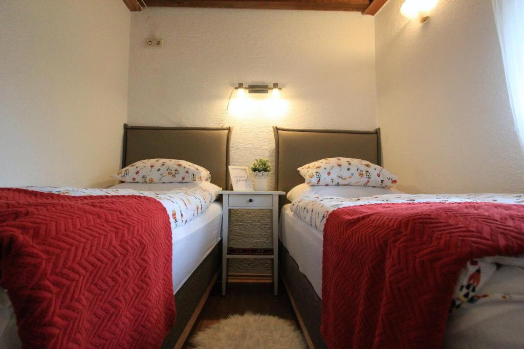 House in center of Gospic with big garden - 4