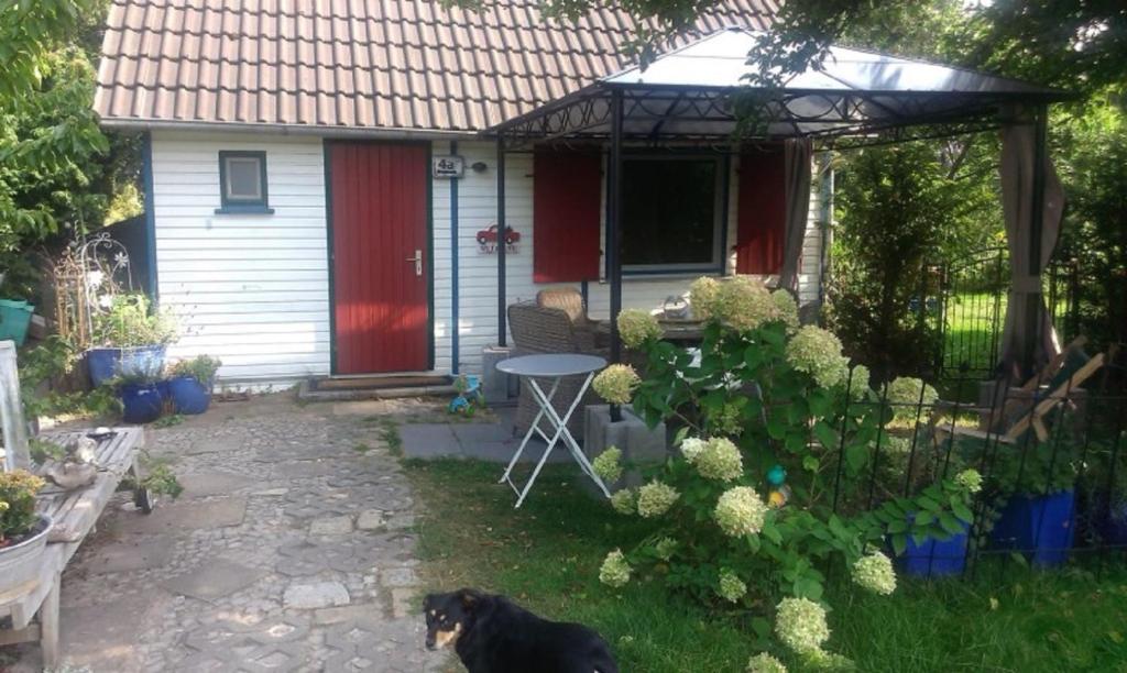 Czarny pies siedzący przed domem w obiekcie Das kleine Ferienhaus w Berlinie