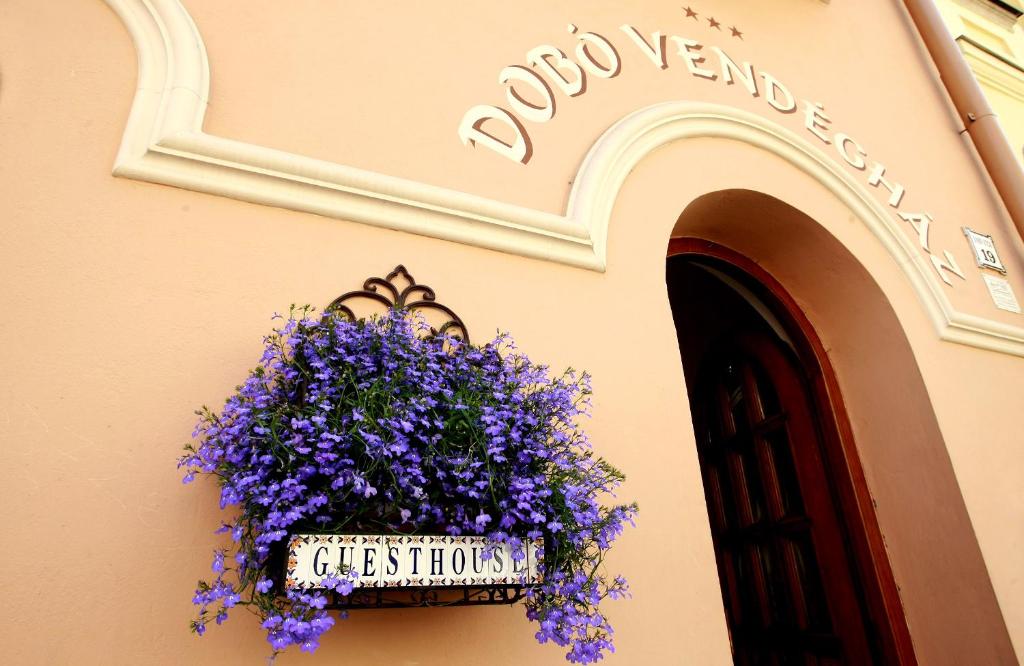 エゲルにあるDobó Vendégházの紫花の建物脇の鉢