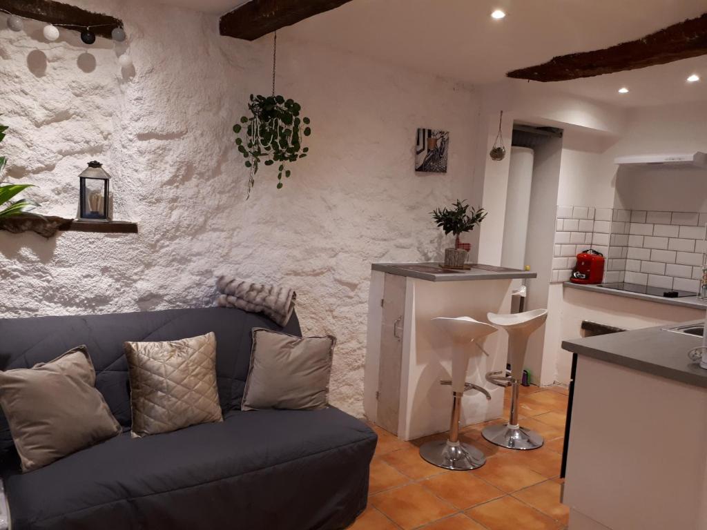 ein Wohnzimmer mit einem Sofa und einer Küche in der Unterkunft Studio Le clos des vins d'Anges in Saint-Pierre-des-Champs