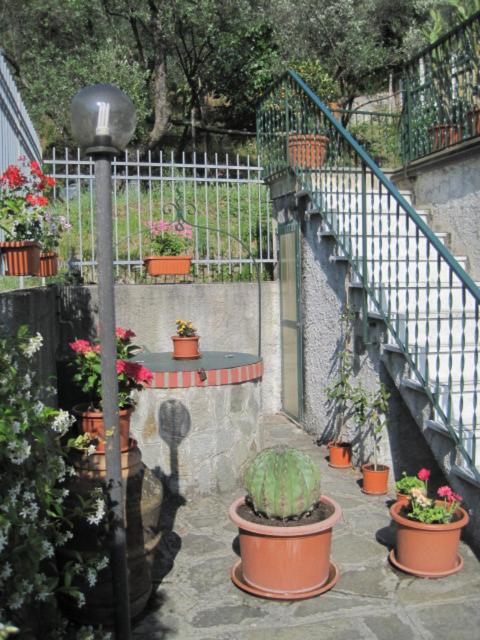 Zahrada ubytování B&B Fattore