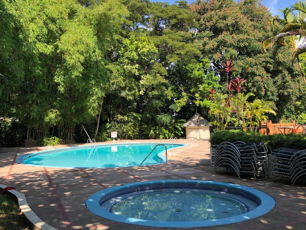Bazén v ubytování Tropical Escape Villa nebo v jeho okolí