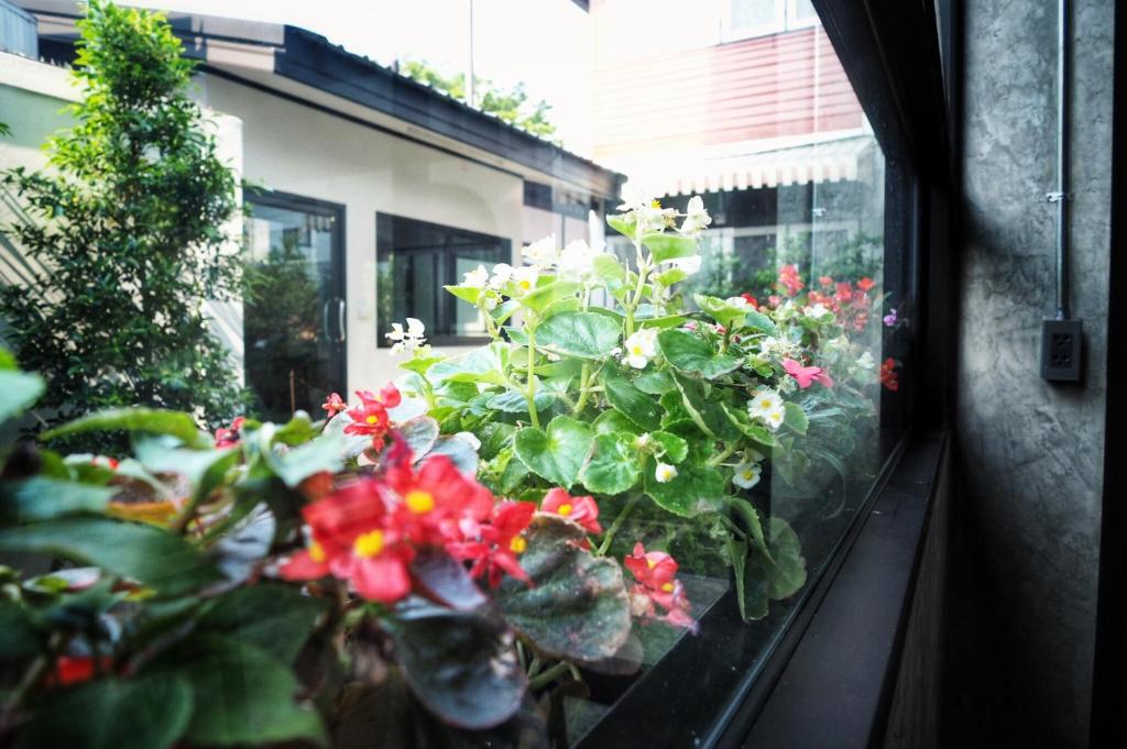 Na BaanYa Chiang Mai - Resim 14