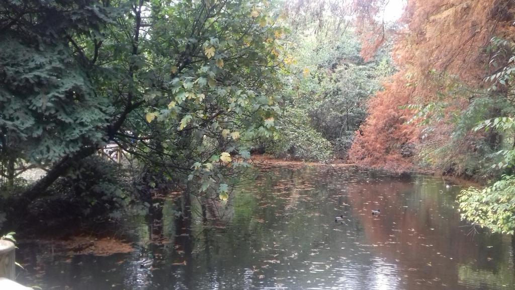 10 Via Giuseppe Sirtori - 18