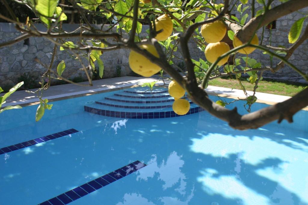 a blue swimming pool with a lemon tree in the foreground at Villa Martha in Spetses