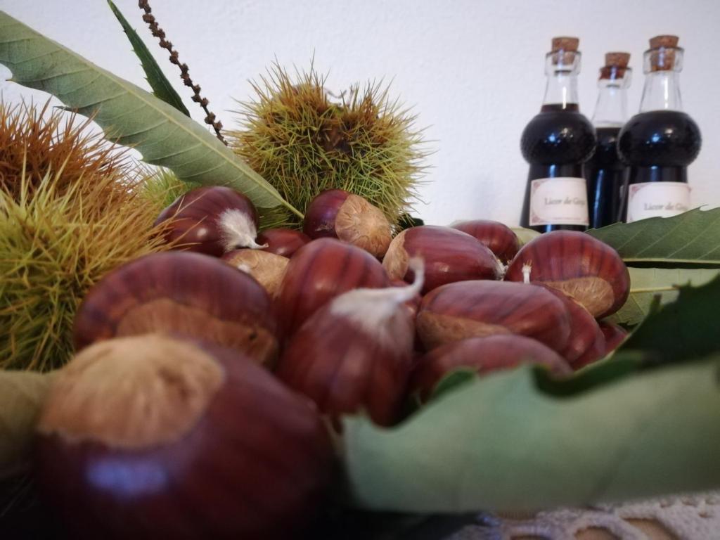 Photo de la galerie de l'établissement Casa Serra da Lapa, à Viseu