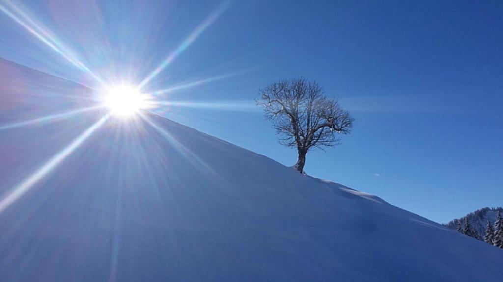 Ferienhof Sonne v zimě