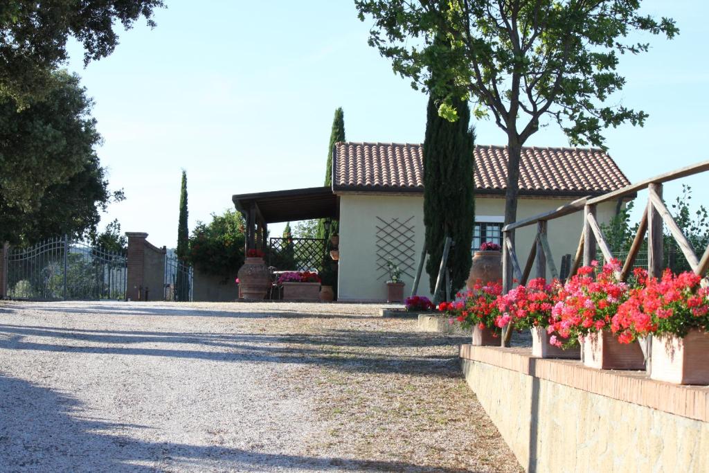 A garden outside Agriresidence Debbiare