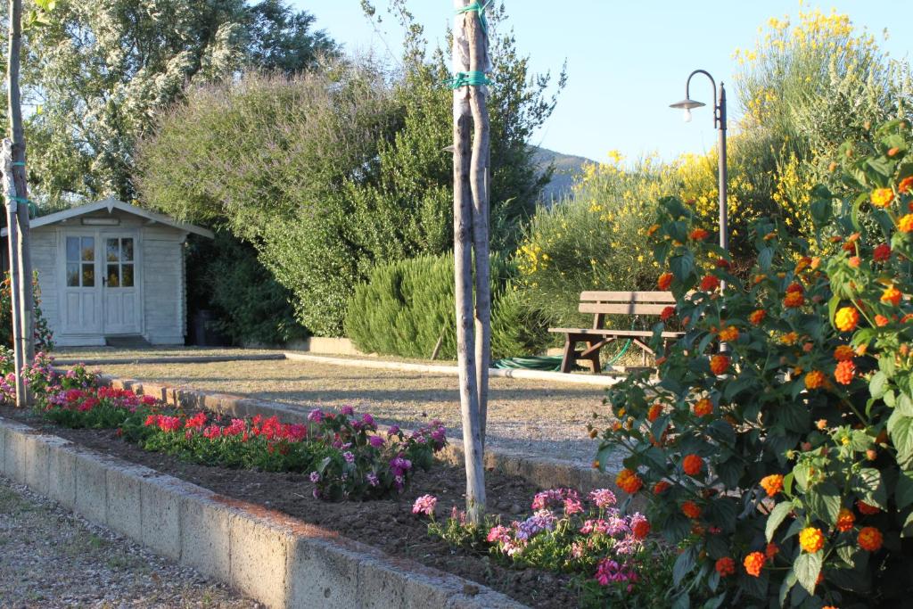 A garden outside Agriresidence Debbiare