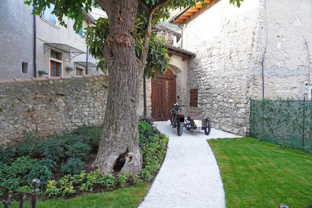 una bicicleta estacionada junto a un árbol al lado de un edificio en B&B Il Sogno nel Borgo, en Gargnano