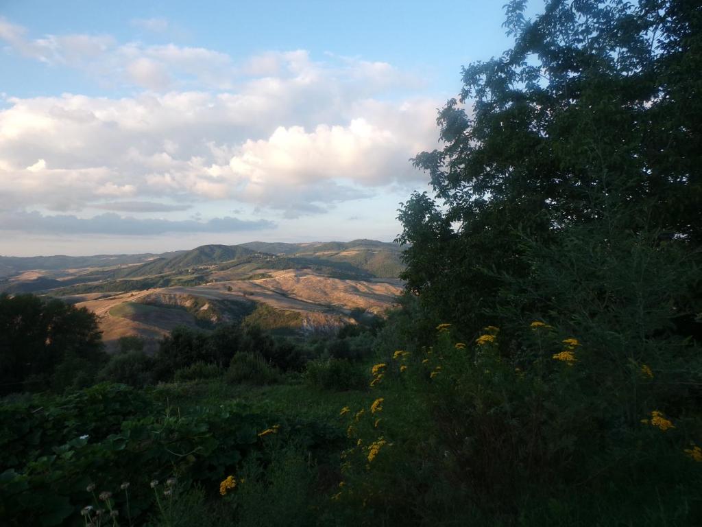 Príroda v okolí dovolenkového domu