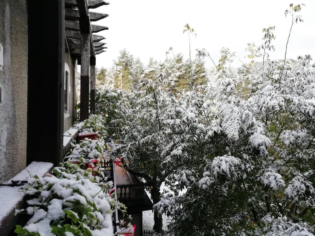 einen schneebedeckten Garten neben einem Haus in der Unterkunft APARTAMENTOS TURÍSTICOS "LA DIRECCIÓN" in Sabero