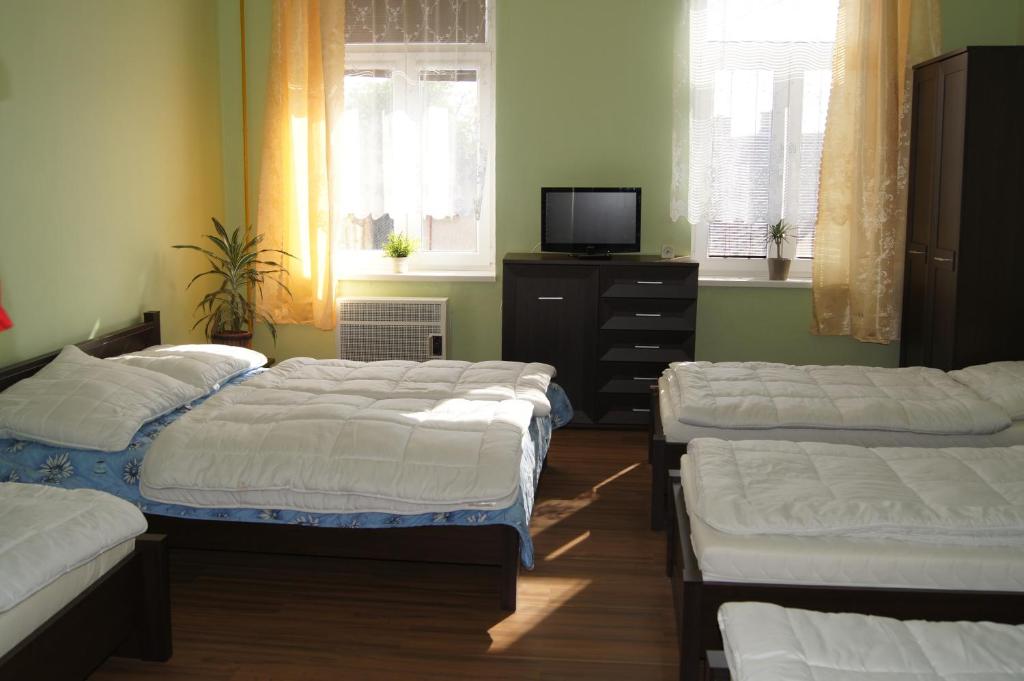 Postel nebo postele na pokoji v ubytování Penzion Modrý Jelen