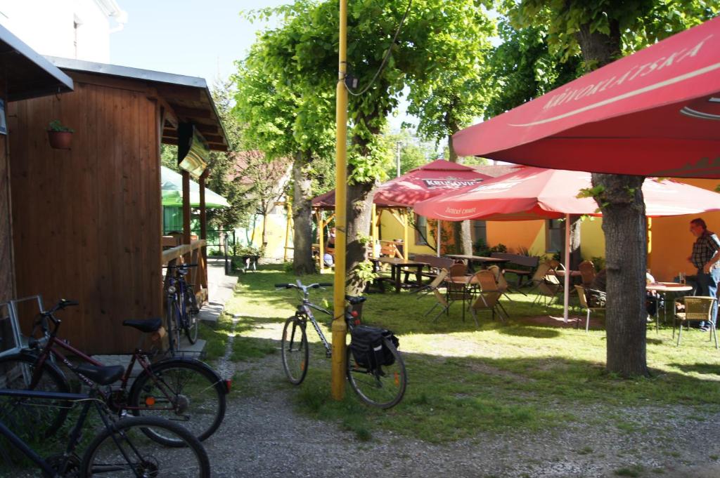 Zahrada ubytování Penzion Modrý Jelen