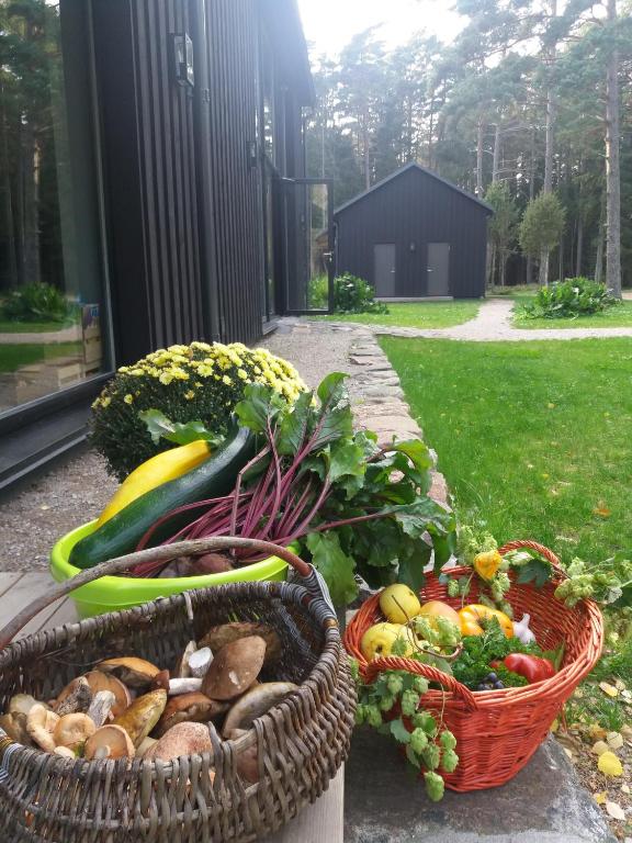 Zahrada ubytování Hõbekala Guesthouse