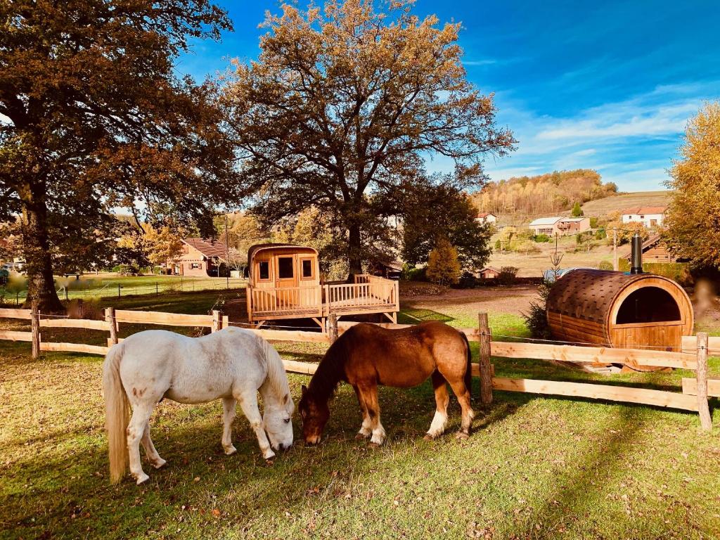 dos caballos pastando en un campo junto a una valla en Ma Roulotte sous les Chênes "la passionnée", en Raon-aux-Bois
