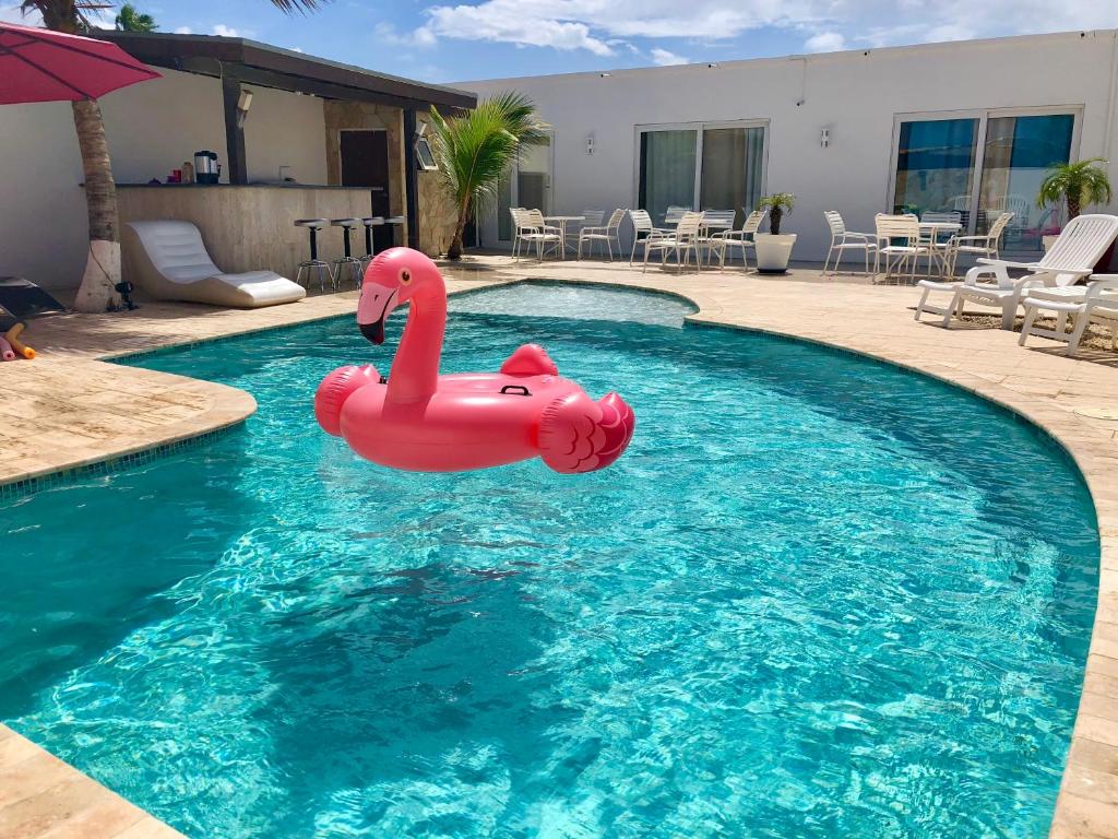 a pink inflatable swan in a swimming pool at Genesis Apartments in Palm-Eagle Beach