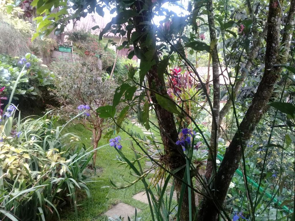  Chalé charmoso e aconchegante em Visconde de Maua