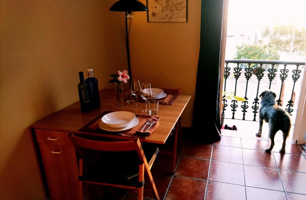 un chien regarde par la fenêtre à une table dans l'établissement Frodo Haus, à Tazacorte