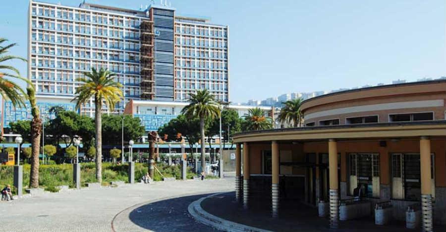 a building with palm trees in front of a city at bed & breakfast De Bono in Naples