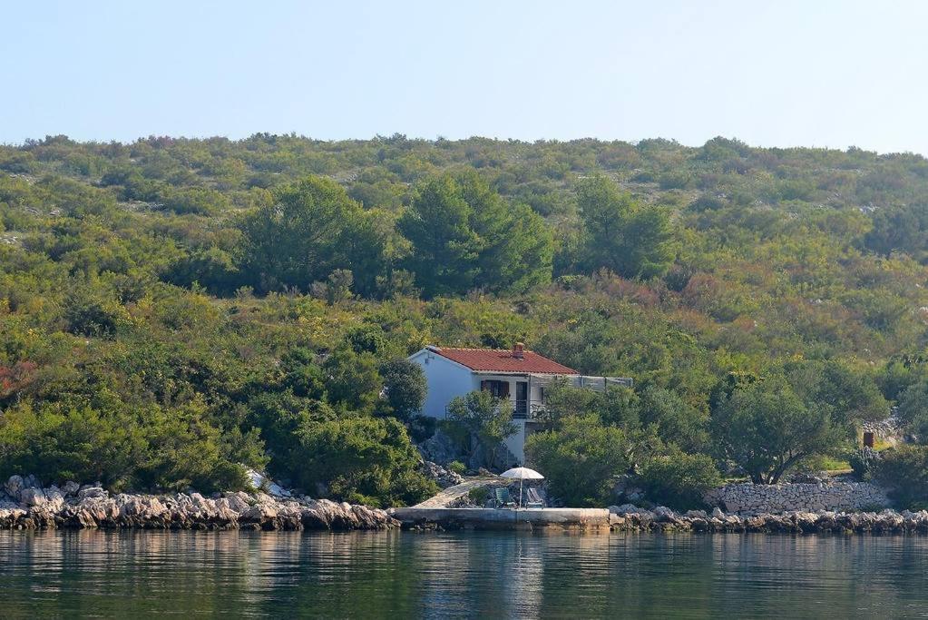 Fotografia z galérie ubytovania Private island Šćitna - HOUSE LUEL v Murteri