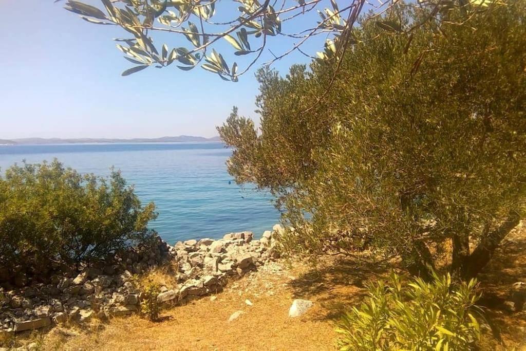 Fotografia z galérie ubytovania Private island Šćitna - HOUSE LUEL v Murteri
