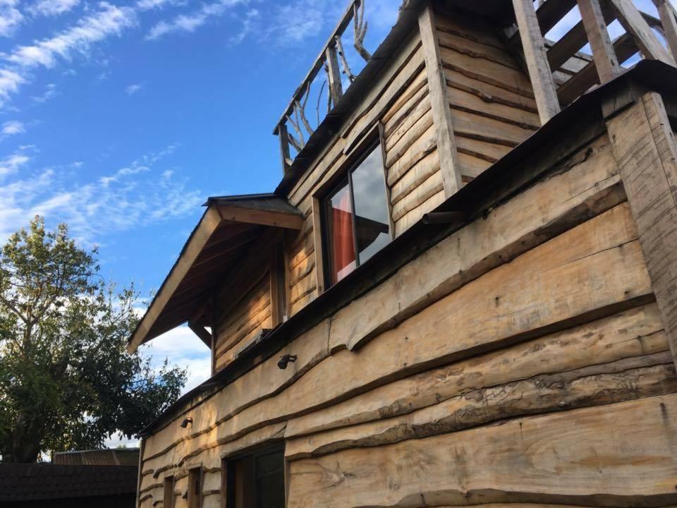 Φωτογραφία από το άλμπουμ του Willhouse Hostel σε Pucon