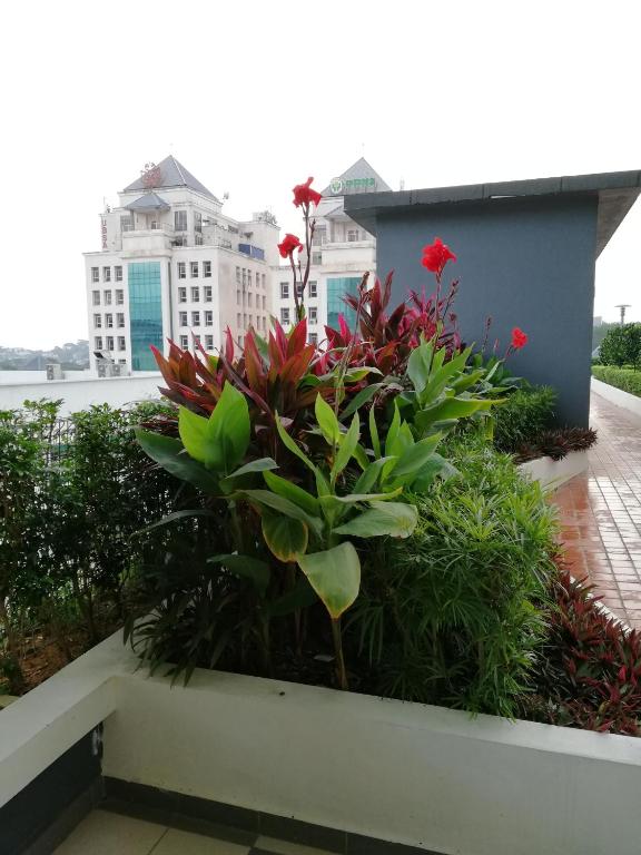 Guesthouse at Shah Alam - Deluxe Triple Room