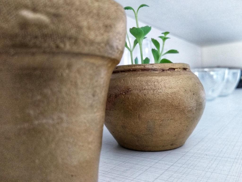  Privê da Milinha