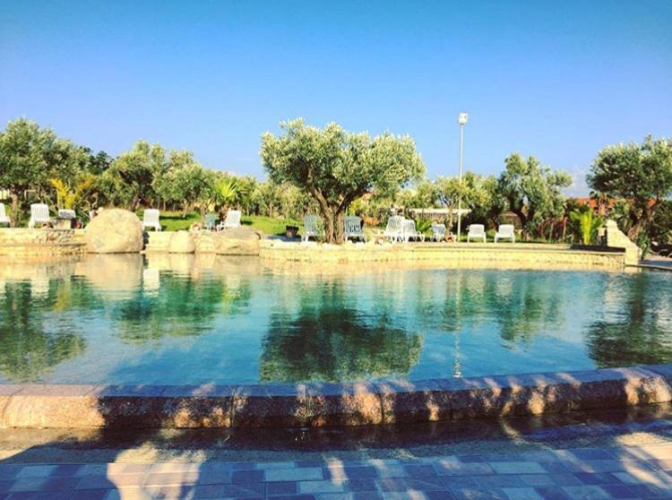 una gran piscina de agua en un parque en Agriturismo Masseria I Risi, en SantʼEufemia Lamezia