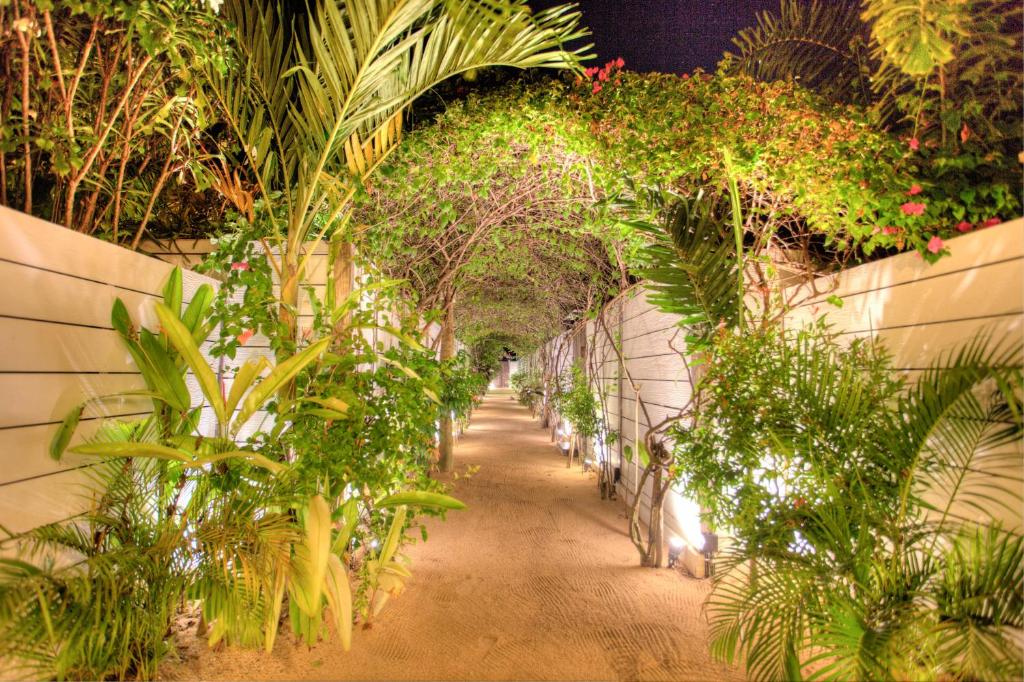 Atoll Haven Villas - 19