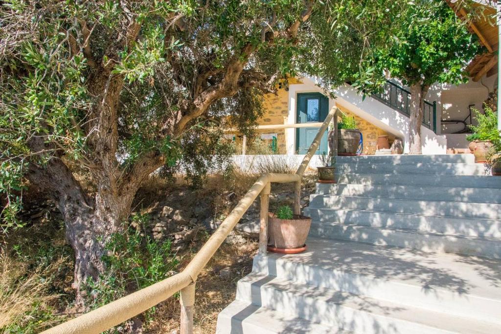 Fotografie z fotogalerie ubytování Agrilos Οlive Τree Αpartment v destinaci Mirsíni