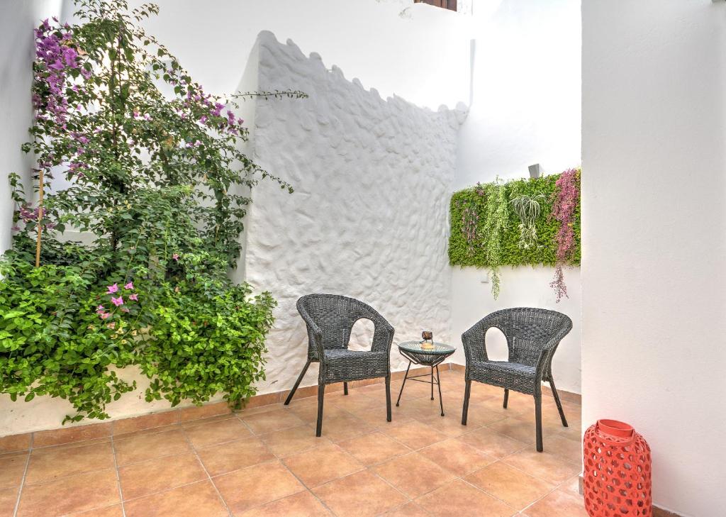 Κήπος έξω από το Terrace Barqueta Studio
