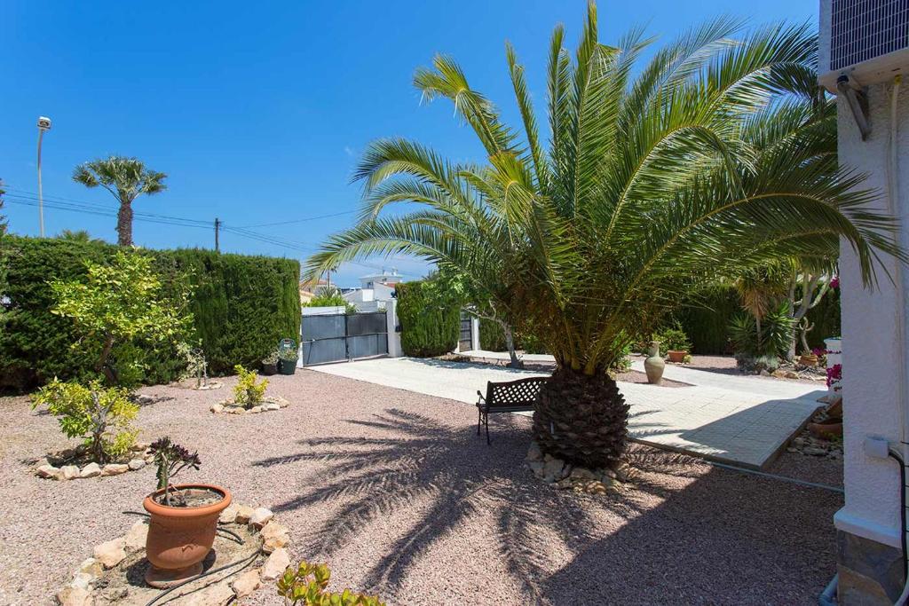 Zahrada ubytování CH Villa Murillo Ciudad Quesada