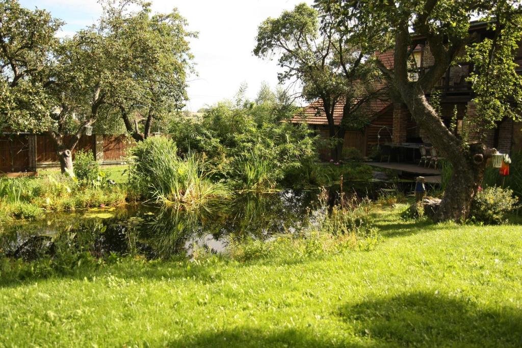 Um jardim no exterior de Areal Botanika