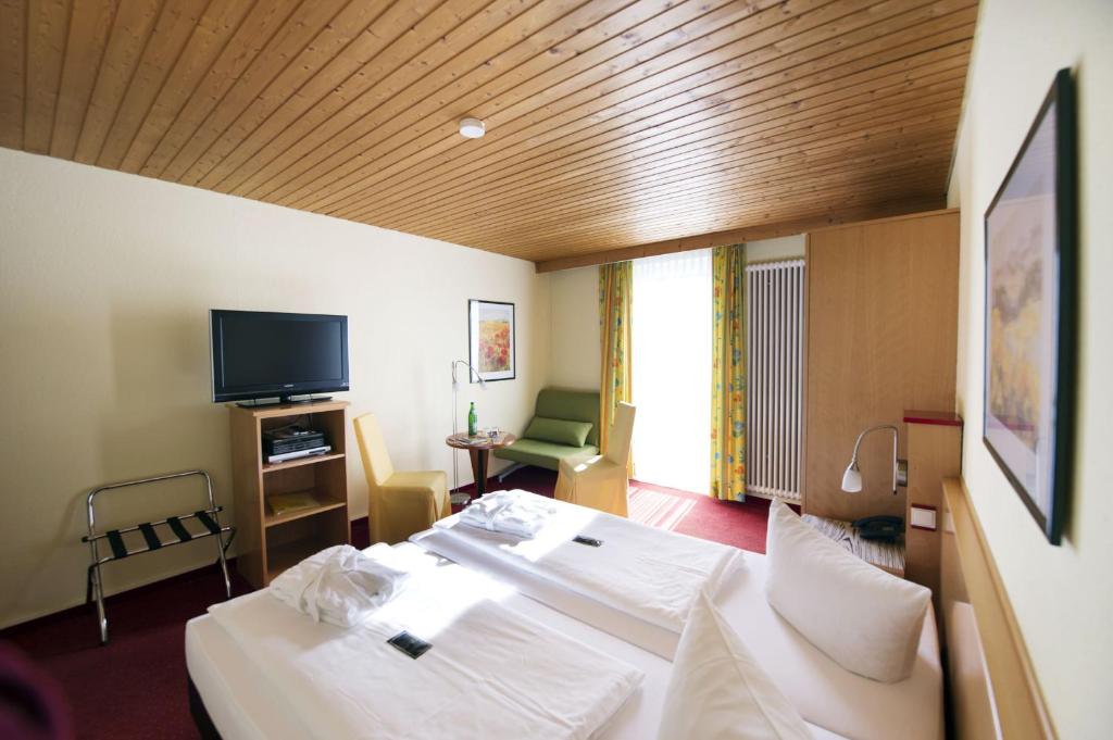 TV a/nebo společenská místnost v ubytování Hotel Garni Elegant