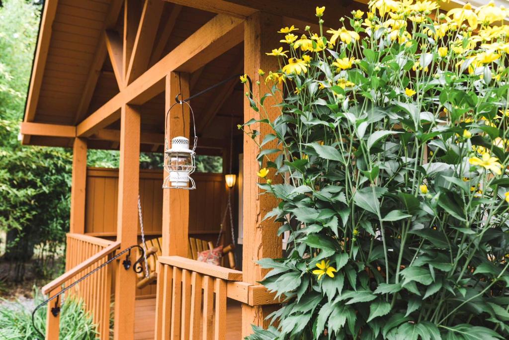 Zahrada ubytování Carson Ridge Luxury Cabins
