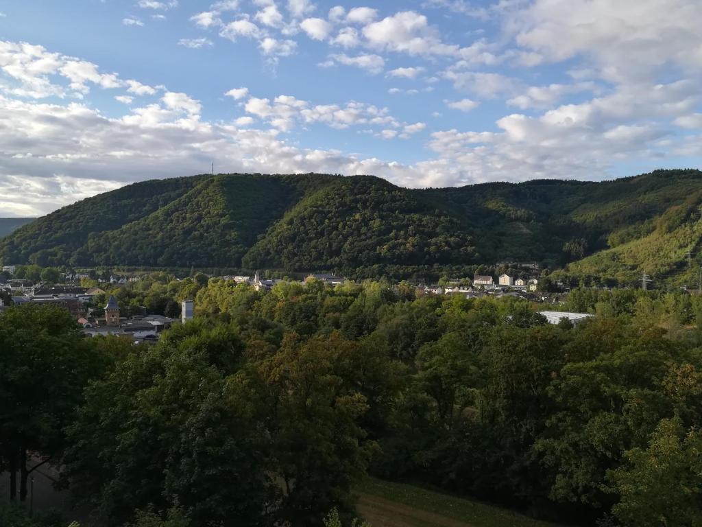 a view of a mountain with trees and a town at Ferienwohnung am Weinberg in Bad Ems